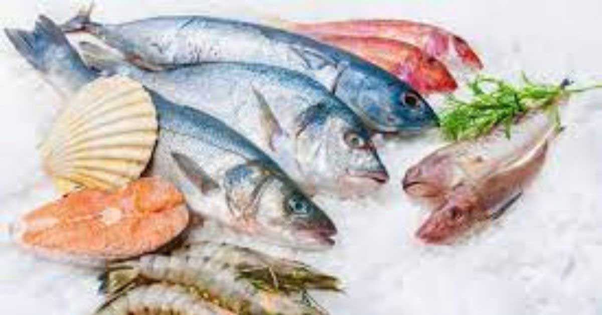 Seafood exports drop during second wave of COVID